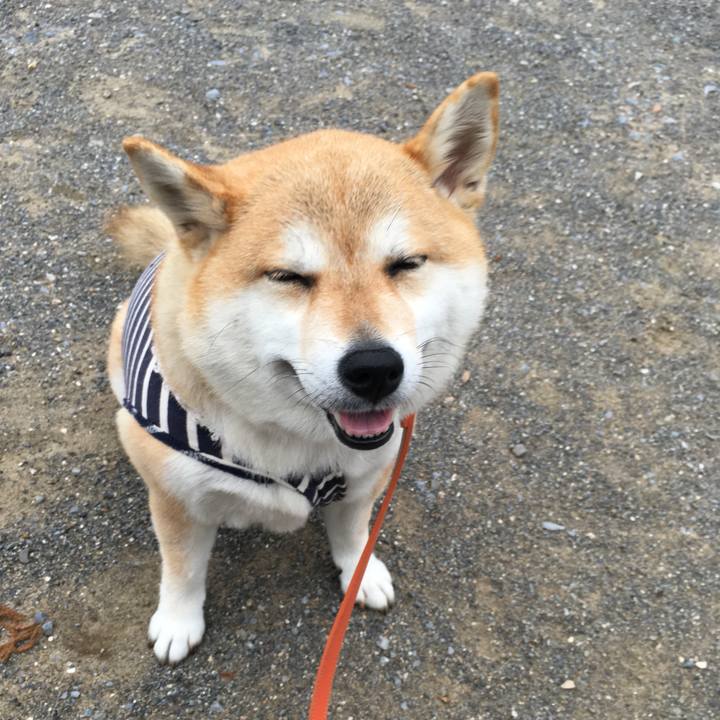 E300ad93 4e53 4658 b345 90d1fbec2595 1560502747370