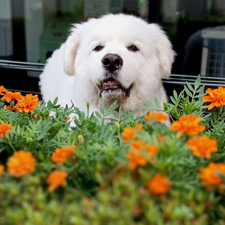 E300ae3d 634a 497e b9d9 5ba8b532c439 1721514974329