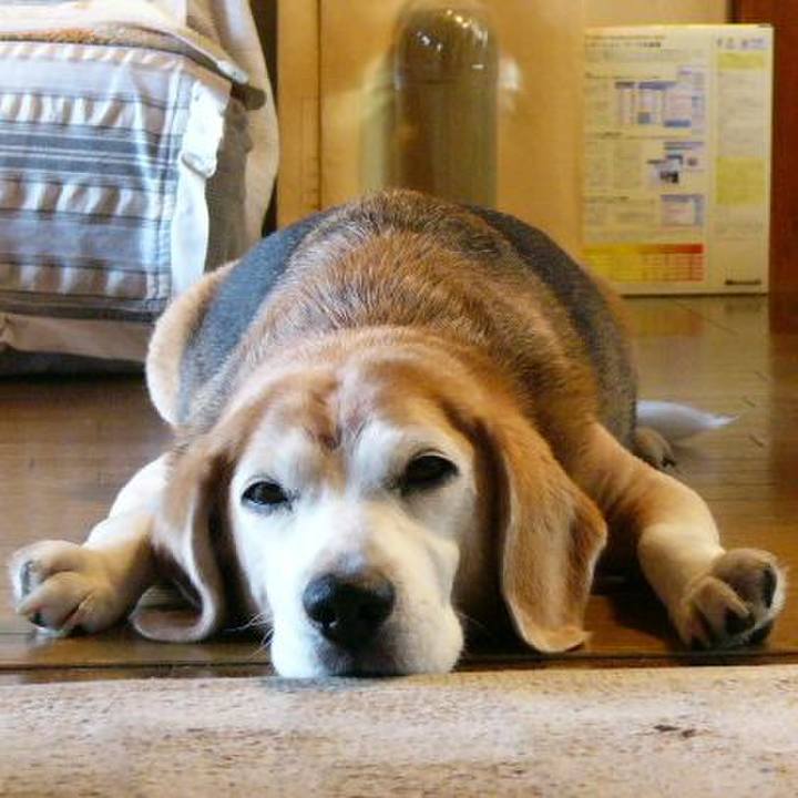 E300b63e 42d8 410a 91cf a0f0fa7a04cf 1665362425454