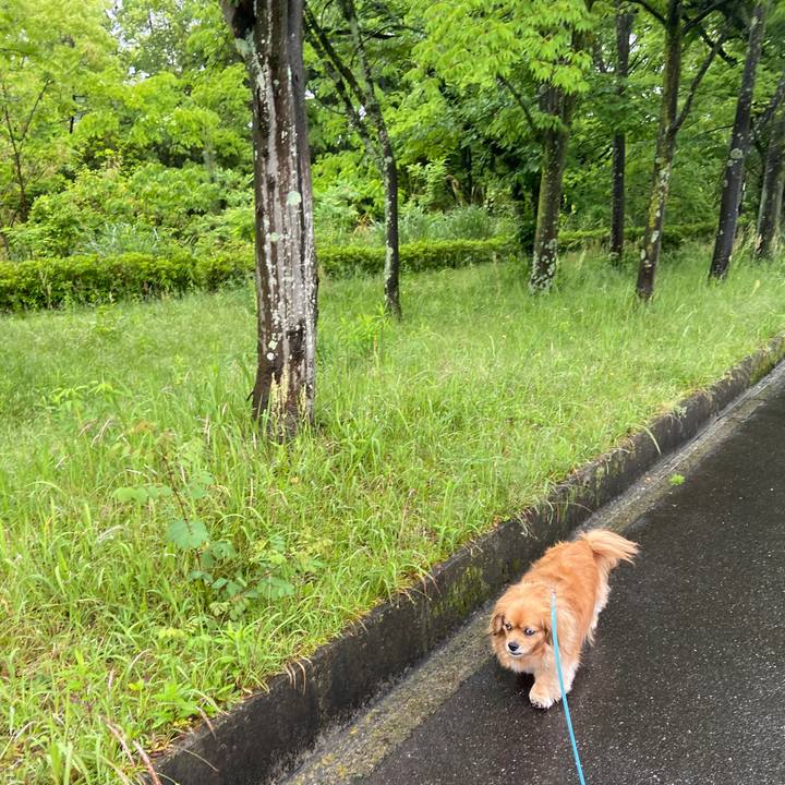 E300f87a ac05 4940 9090 79fec12587d9 1652392504214