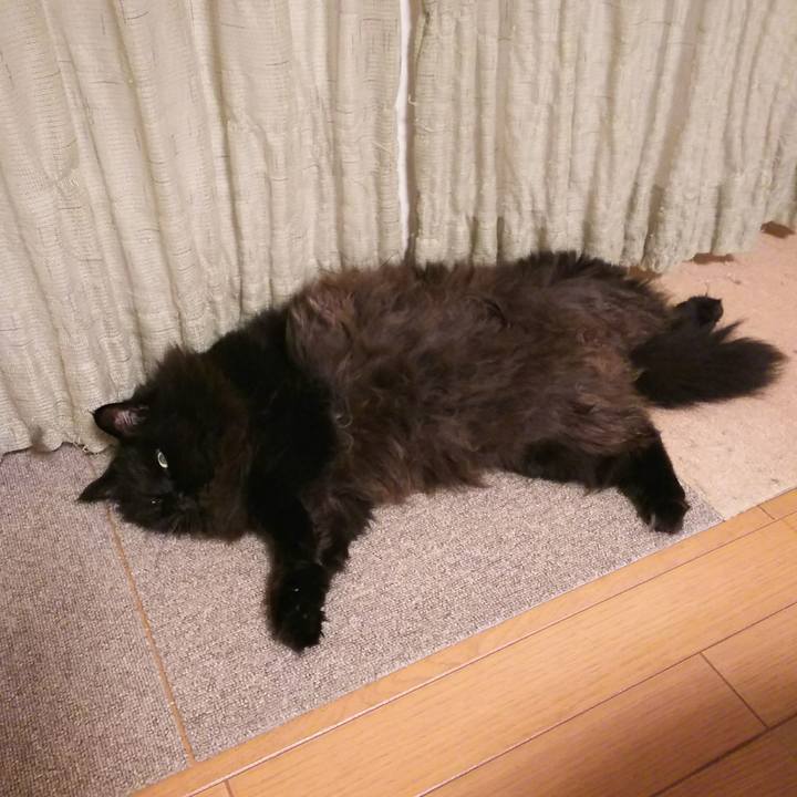 E300fc45 a28c 4204 96b3 3c4c70dae895 1537444264858