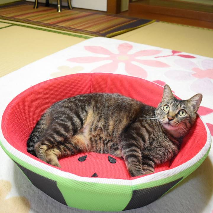 E3010659 402d 45ce 8302 854088d88eb6 1559643639408