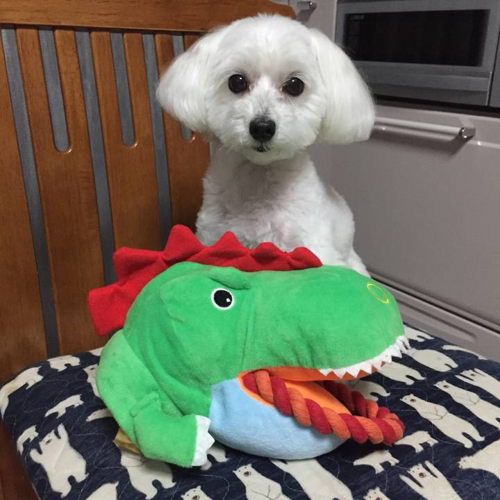 E301342a c407 4ca8 9eb5 8adf63da1c2d 1563453700849