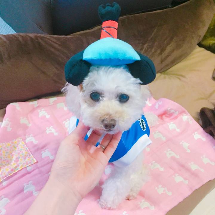 E3014cb8 a722 422d 9982 ce2536774122 1530193991033