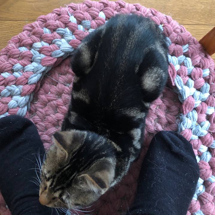 E30157cb 775f 4942 968a f981fa3e3752 1733027825161