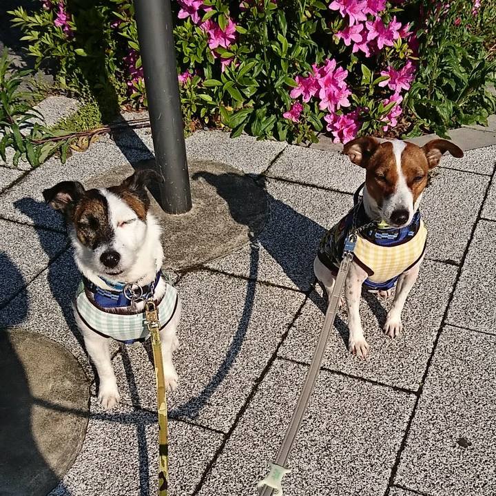 E301daac 1fcc 4d42 9456 f709f4517f15 1587768559193