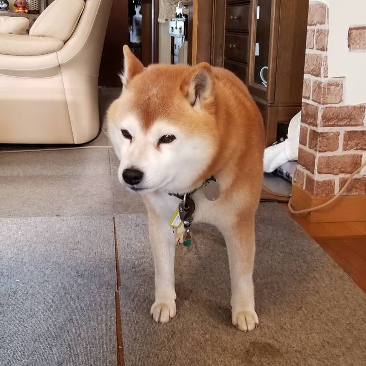 E301ee45 8185 4aad bd55 7f5b0bf5c93b 1649718542980