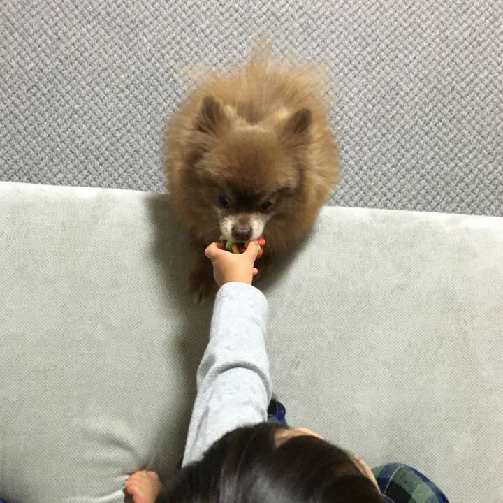 E3021d63 fcf2 42c1 9d1b c3c0cf7ed39d 1509108669895