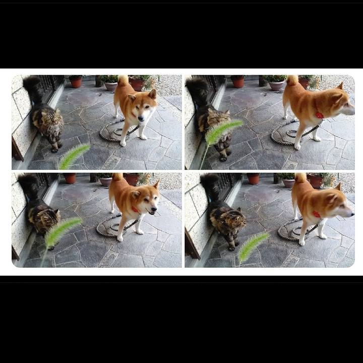 E3022a22 1663 4b2e aaac 3a6b1d8225c5 1634720252004