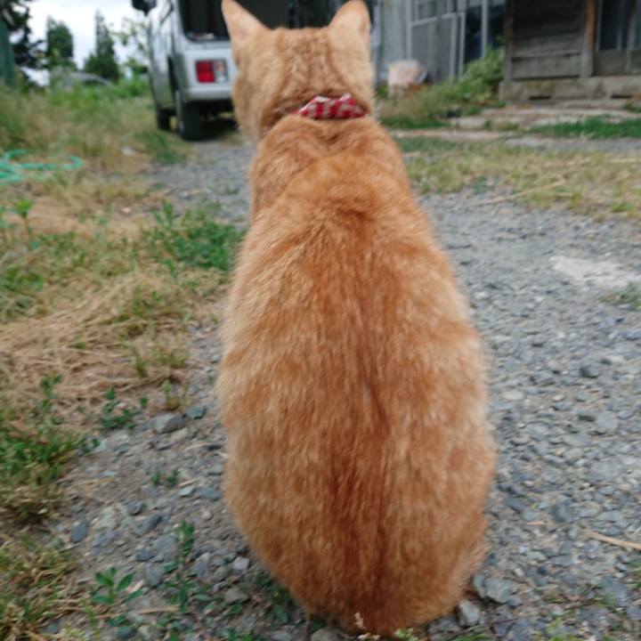 E3023065 f918 4347 81a9 88c21812db65 1560549393187