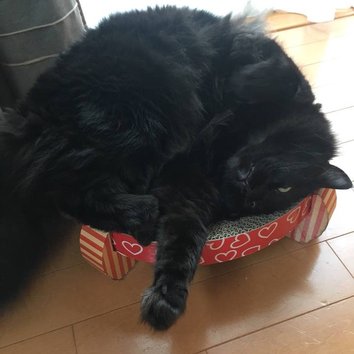 E302505b 59d8 4c62 92ba 1bbc4775fd49 1530149278861