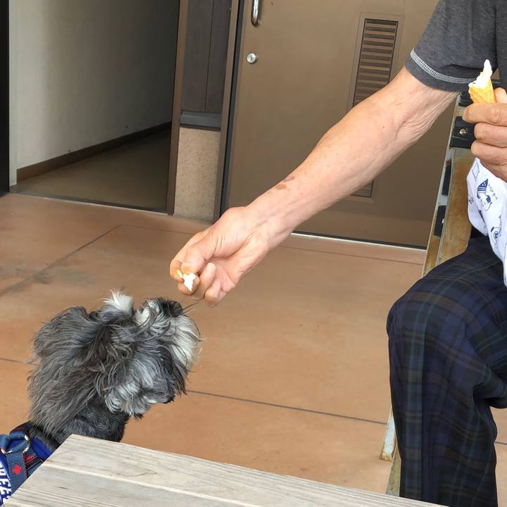 E302a43c 75a5 49a9 b65d 4612a90df125 1622357673487