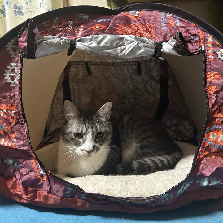 E302c197 00f0 415a 9f90 a5057313490d 1765430288897