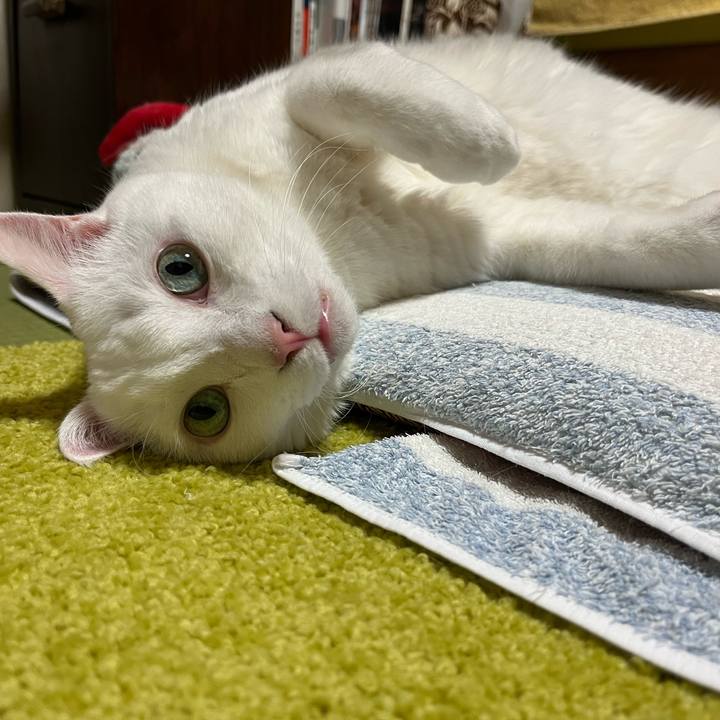 E302ea2b 1c02 4dc2 aa99 aafae6f5cc09 1699791828766