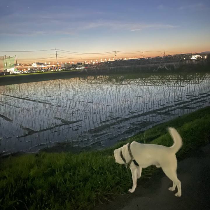 E302fa38 2589 4443 800e e54bf72dc7f8 1750077776557