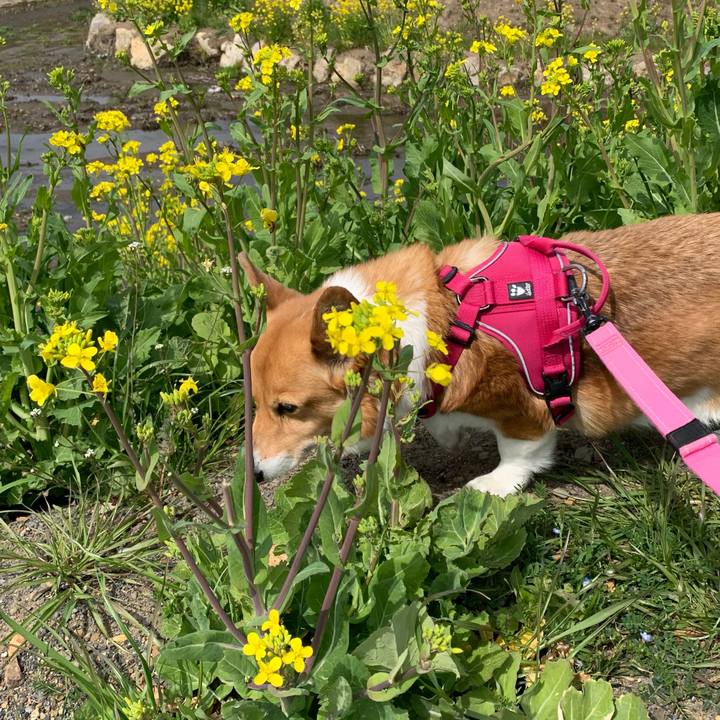 E3030709 025e 48a8 8119 f853d3824759 1711247624091