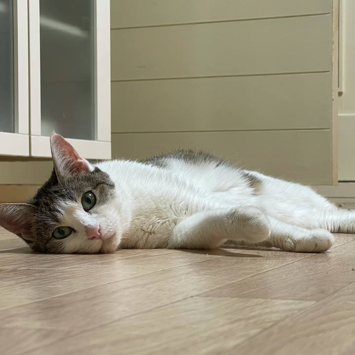 E3030efd 4b5c 4b48 8aba 80191a3c91c6 1626088824640