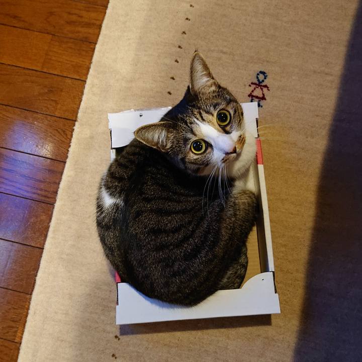 E30326d4 6db9 40fd 9962 69251a8b7cee 1613360917762