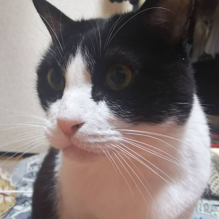 E30341e5 ea48 4d5e 8f4e 5b7b1294bcad 1581205381037