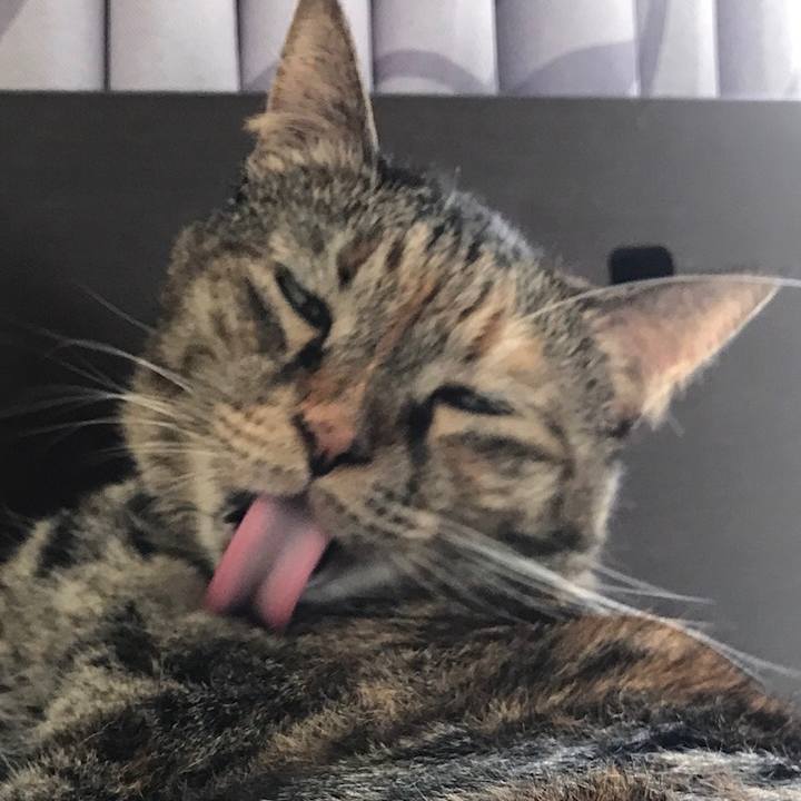 E3034f1c 9b00 4df8 8cde bc8a8410f70a 1535888059361