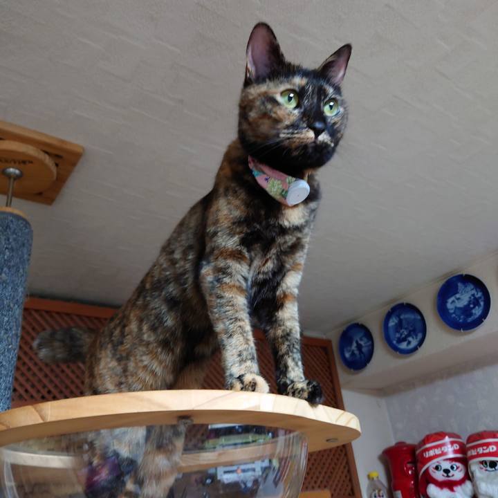 E3038601 fba3 4d99 8f70 56b66a2a7f9a 1627742492404