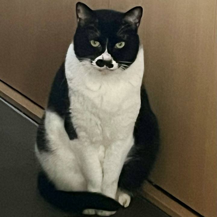 E303aa90 5d64 4c08 a079 d1440ca39800 1710287203711