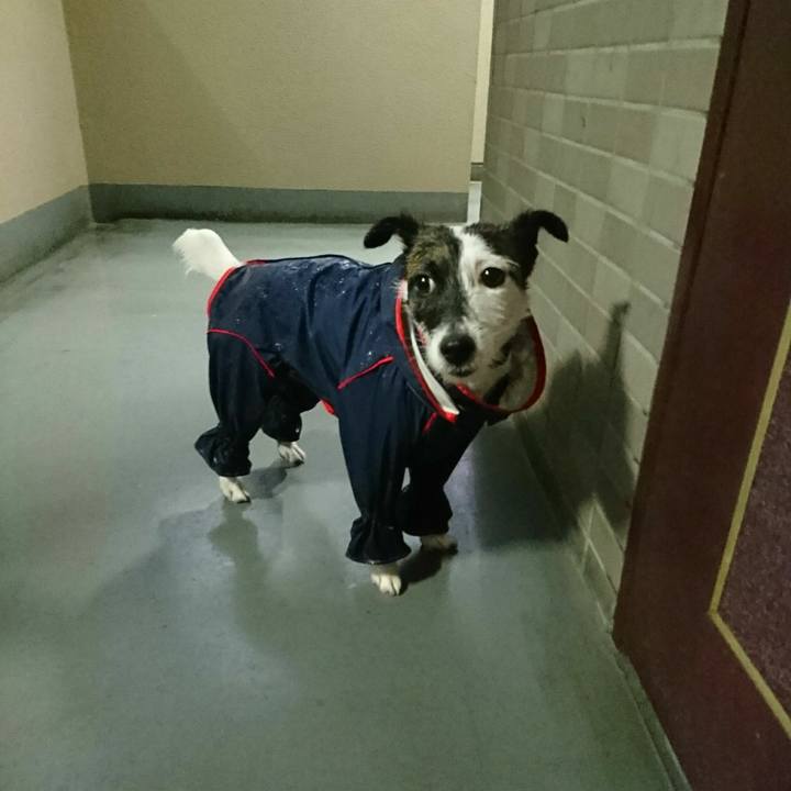 E303cb80 e9c4 4908 97b7 47b350d9d610 1508452293509