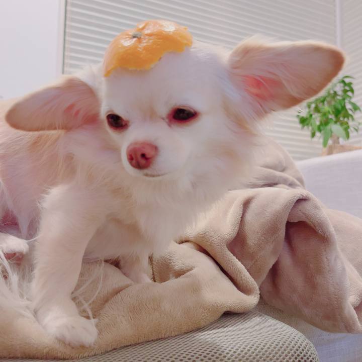 E303e448 bc16 42a9 a697 f12c52385df3 1704587093046