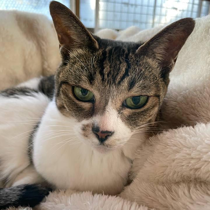 E30404ff 5a01 47eb bb04 af3343691fa7 1637891535466