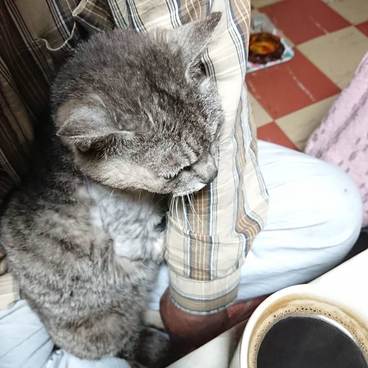 E3044255 8484 4e01 b4ec f5eb3cf00f91 1591212172083