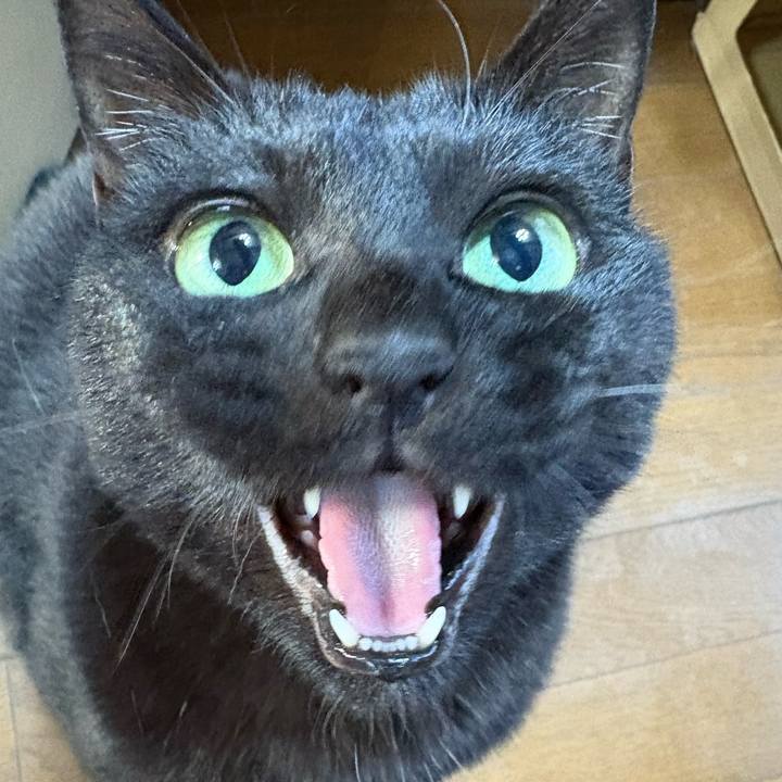 E3046a8e 397f 4485 9b2e 0817094c186d 1766492985344