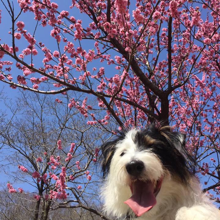 E304d53b de9a 4442 89e7 3b389bbbbb66 1521953932054