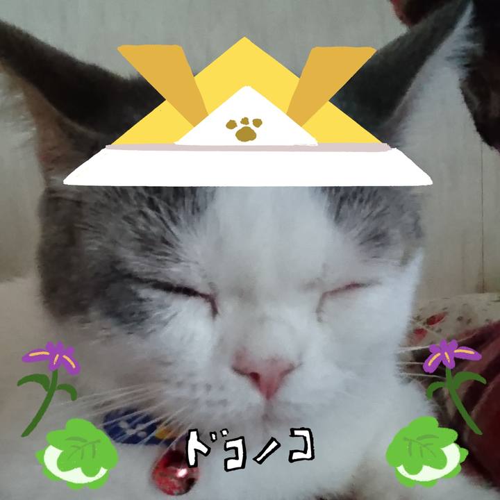 E3050faf 6215 49f0 aaad 2c8cf5232099 1715297535114