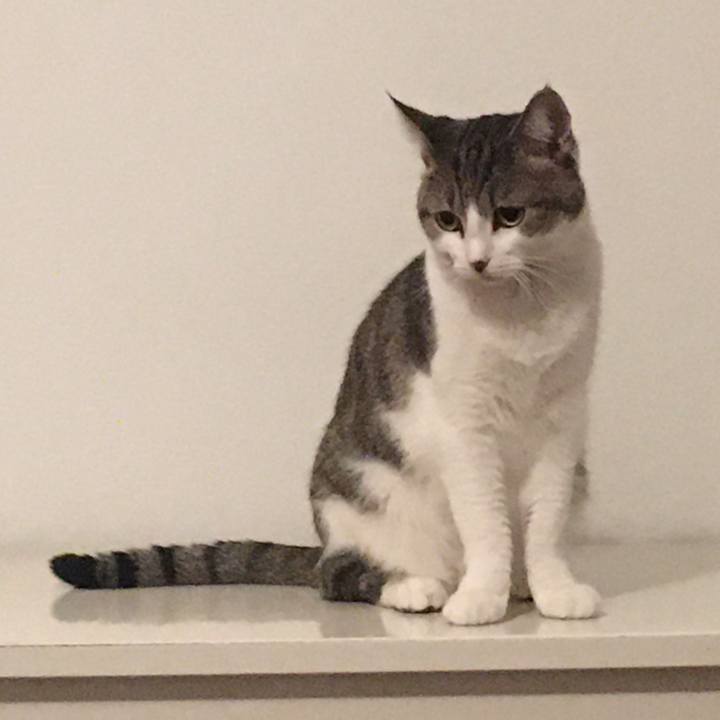 E305129b bf16 4057 a771 282b0bc3b1bd 1663557695284