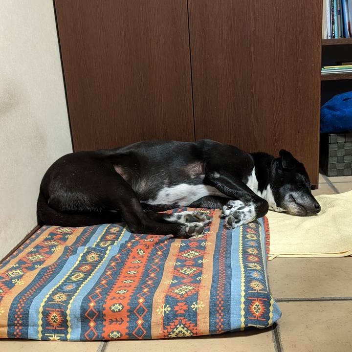 E3054f02 f893 4247 b626 31f3f8bd34b9 1698540152038