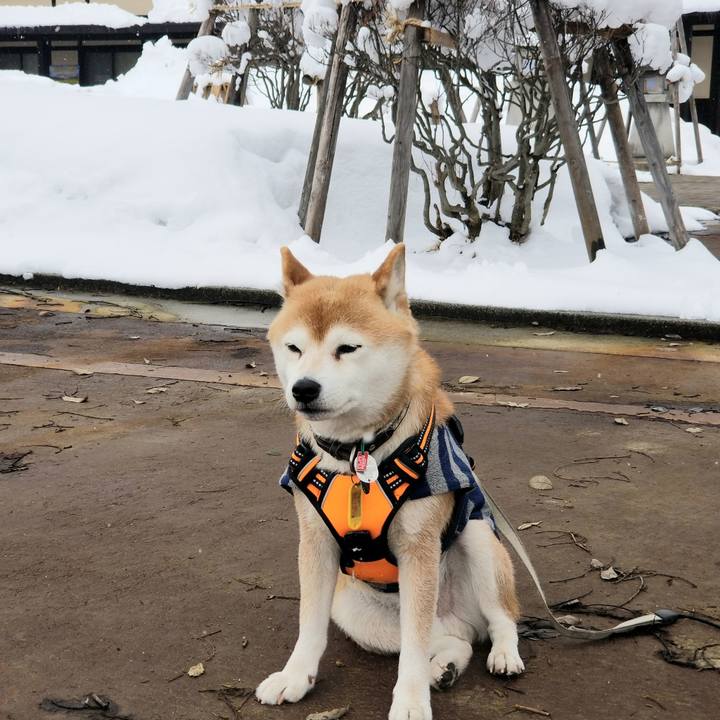 E3054fbc e958 4ca2 a080 45b495be89bc 1613622714432