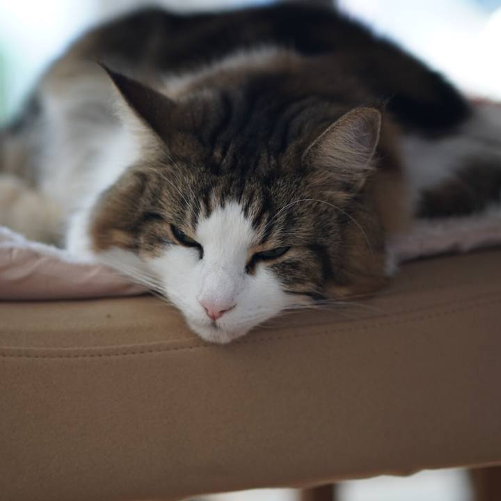 E3056f5c 4041 4eed 9b5e da2345f31a7a 1604996172793