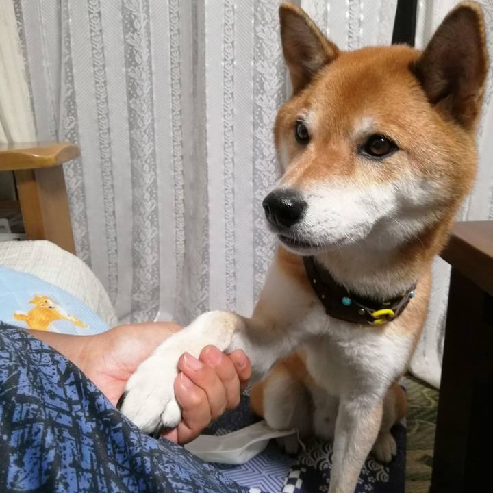 E3058748 54cf 4489 972a 95897a9fb6da 1631356941062