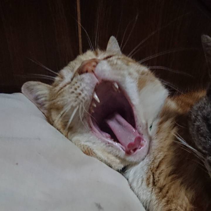 E3058e80 163f 4587 90bd 84eba7170da5 1584018127594