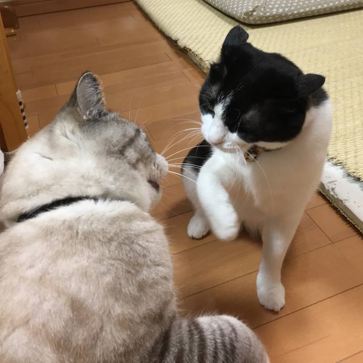 E305c1ca f19c 4c41 bded 072d364f13b9 1512991178443