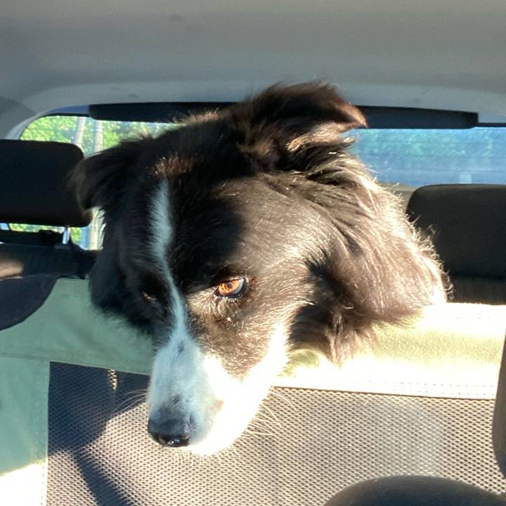 E305c29f 43b8 47fa 968b d767e3debbc7 1662761439162