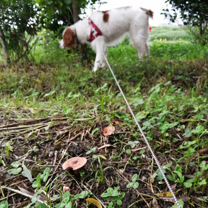 E305e651 3858 40ca 8e0b eda5a8ff3a39 1594454882247