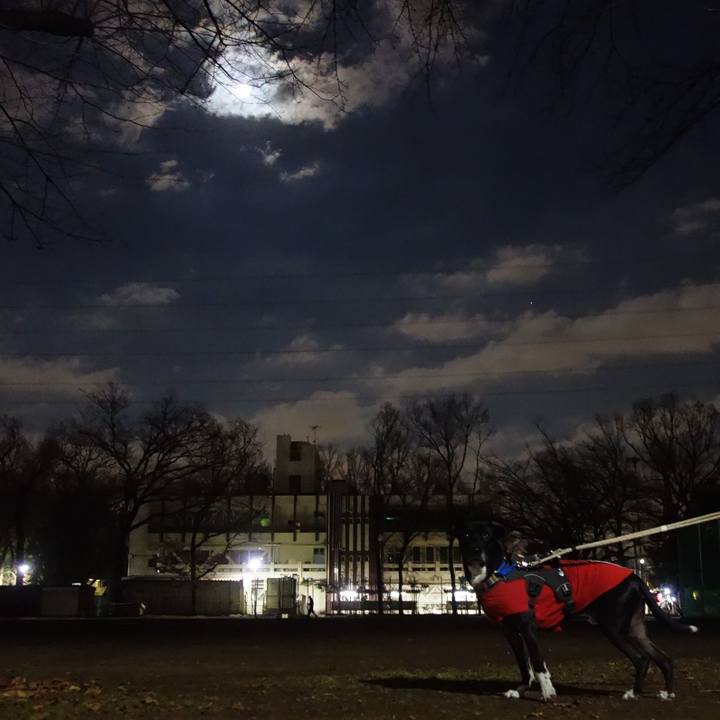 E305e720 6a89 4fb0 a5aa c9145bcaf42f 1642417840484