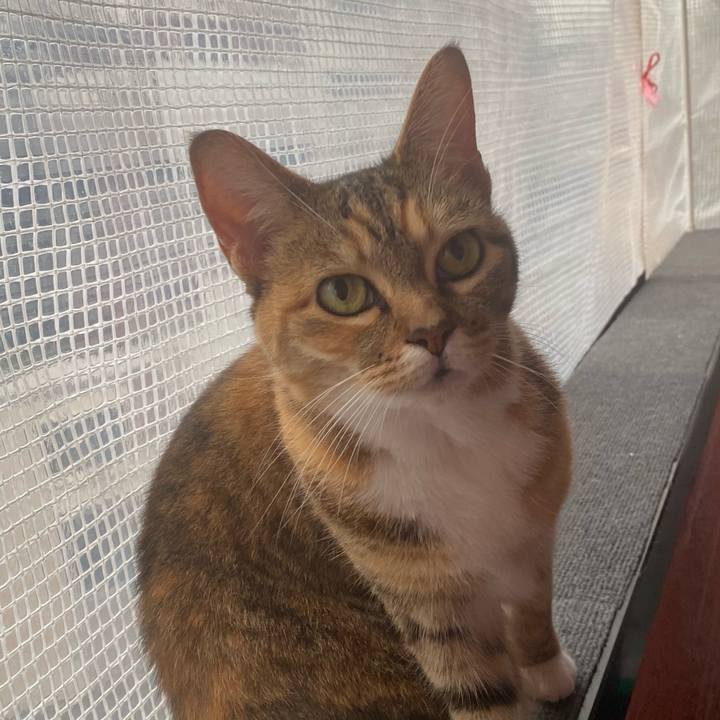 E305f693 de28 451e 9a48 0587ab11b58c 1621858700893