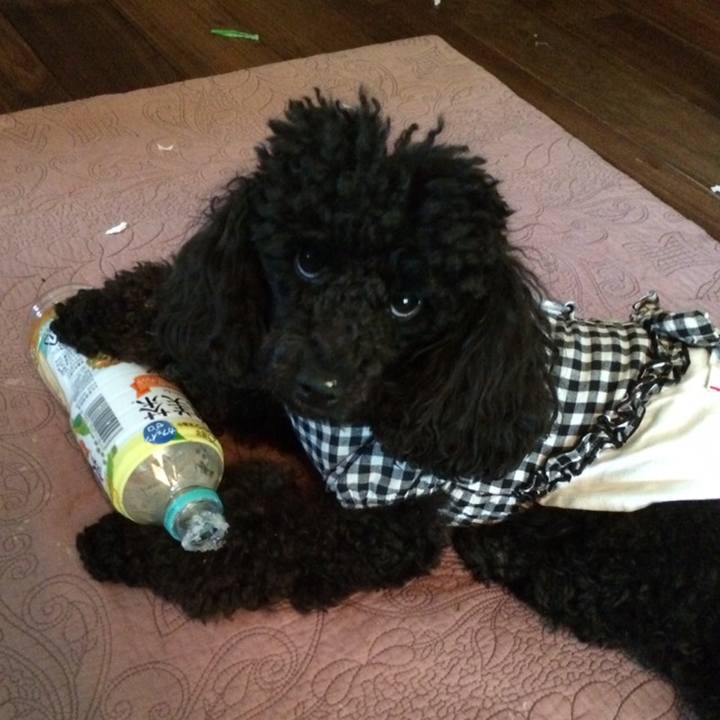 E305f8fc e084 41cc b02c 3de4e6e1b2cd 1559129670515