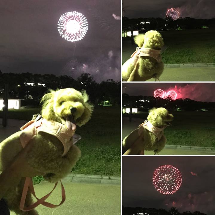 E3064570 f994 48c5 b411 6a15f8379ed3 1564834972490