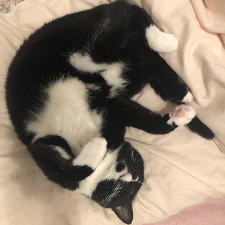 E3065d75 1511 4ba2 b5ef fa7b3a940a1d 1569279004695