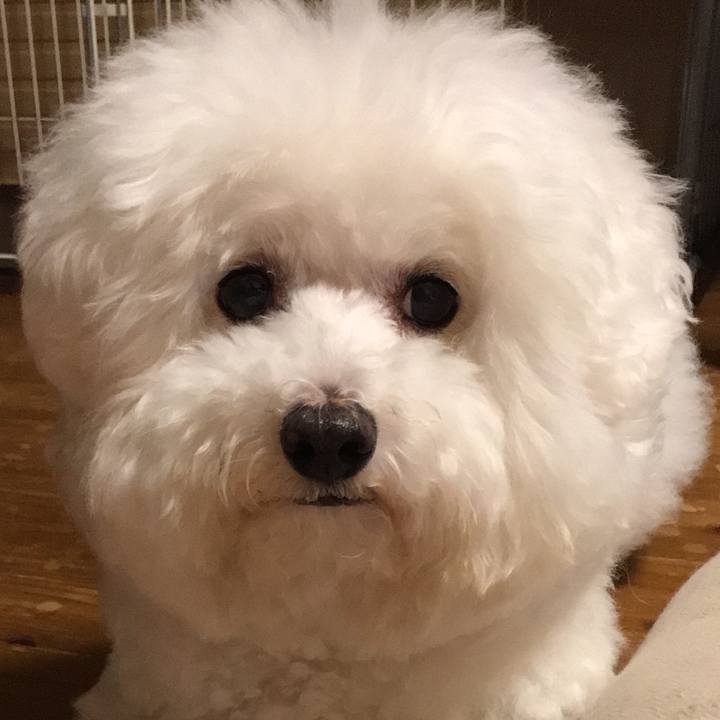 E3066119 437b 4cd7 95e5 e21c48784fb9 1601553390227