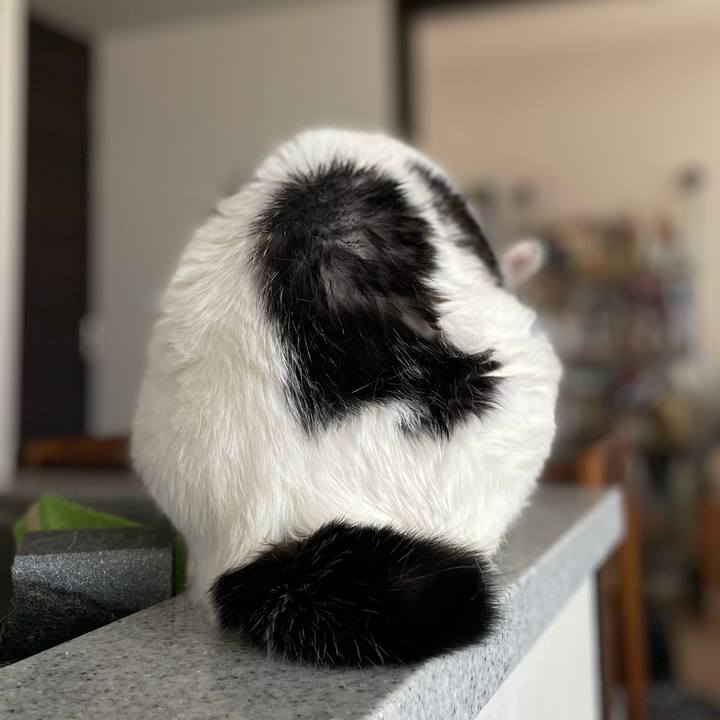 E3066297 c4c8 4f95 8fdd d1833dede57b 1751155735070