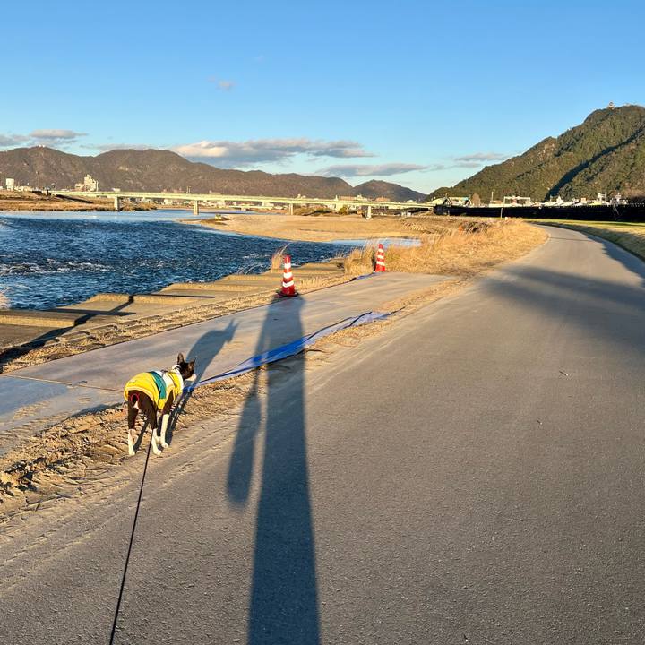 E30673b3 b072 4d88 8bbe c33c91b3f8db 1639394942136